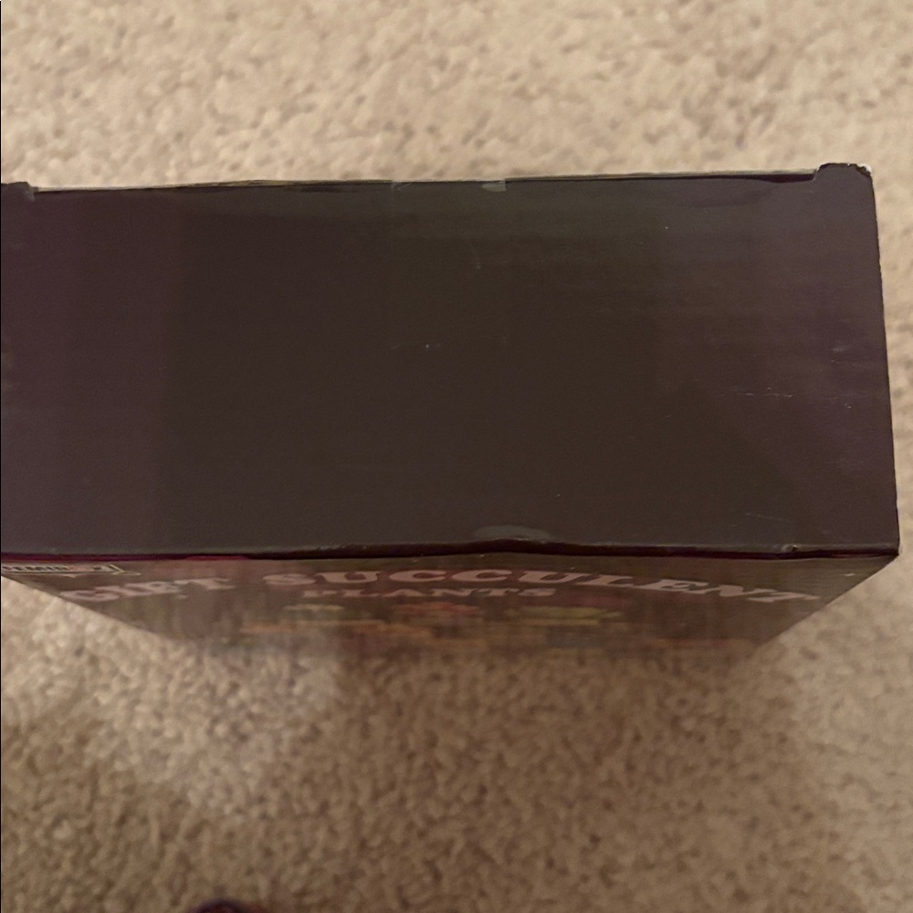 Building blocks succulents plants new in box - Picture 4 of 4